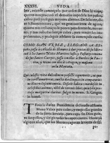 XXXVI