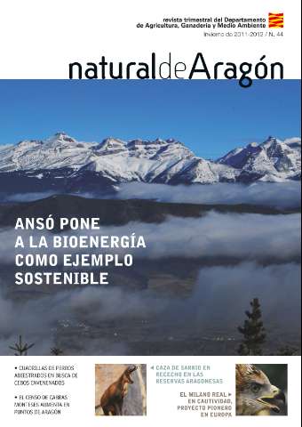 application/pdf