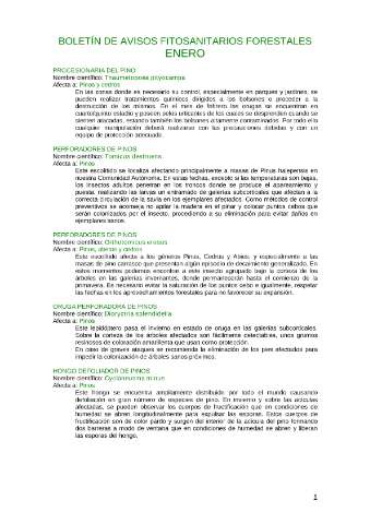 application/pdf
