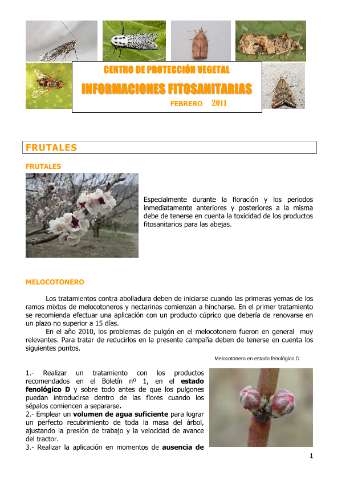 application/pdf