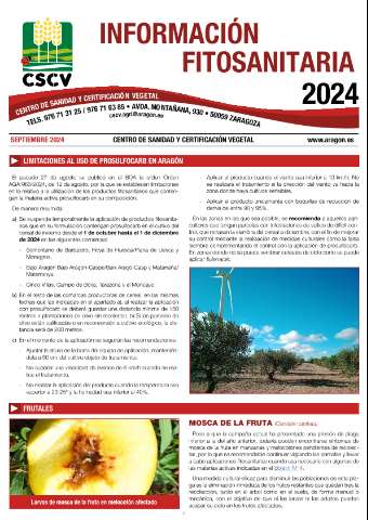 application/pdf
