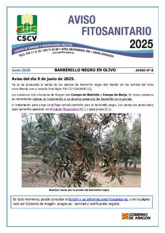 application/pdf