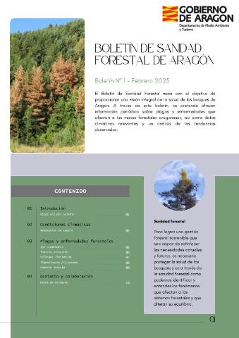application/pdf