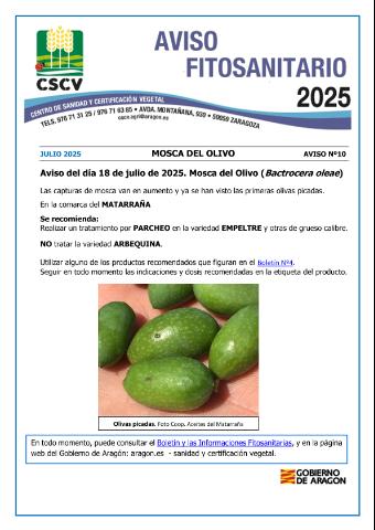 application/pdf