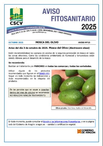 application/pdf