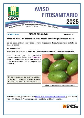 application/pdf