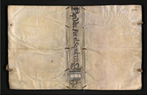 Imagen del registro