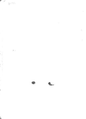 1004v
