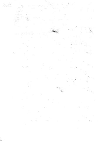 1006v