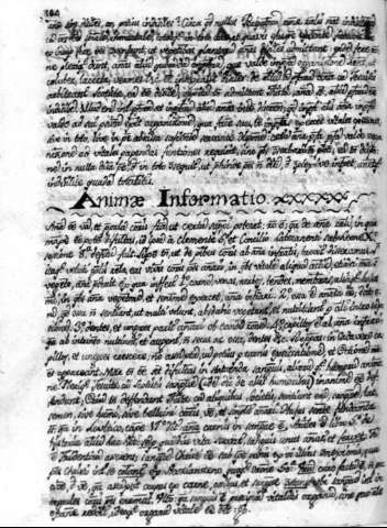 164