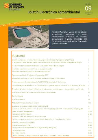 application/pdf