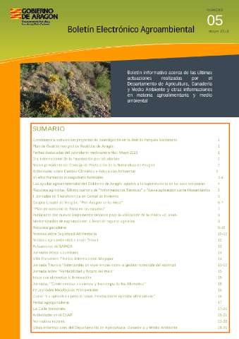 application/pdf