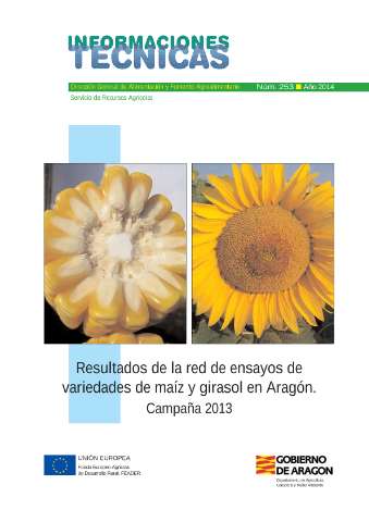 application/pdf