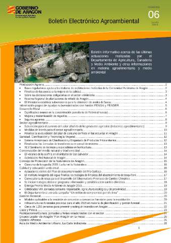 application/pdf