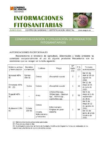 application/pdf