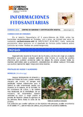 application/pdf