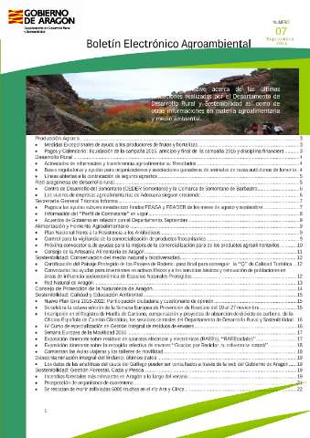 application/pdf
