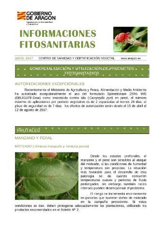 application/pdf