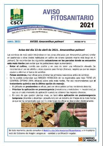 application/pdf