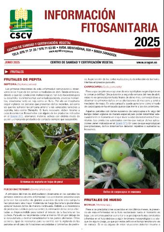 application/pdf