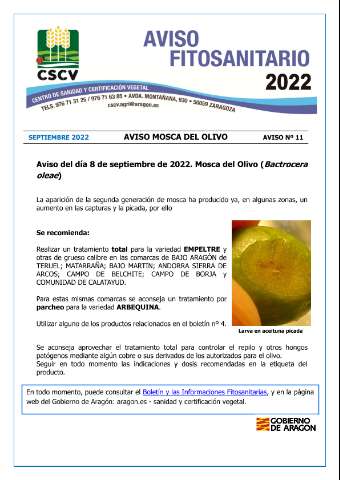 application/pdf