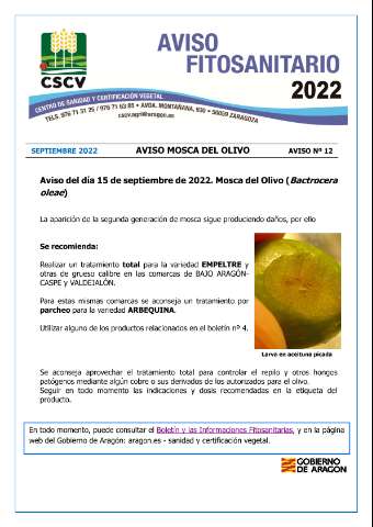 application/pdf
