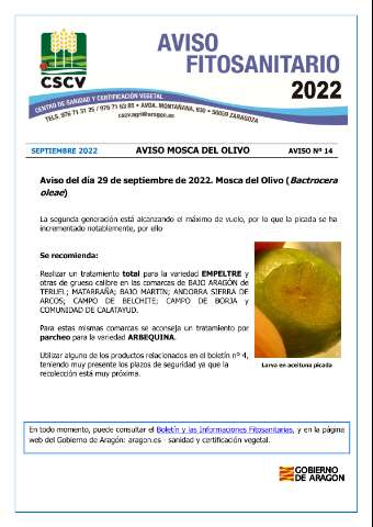 application/pdf