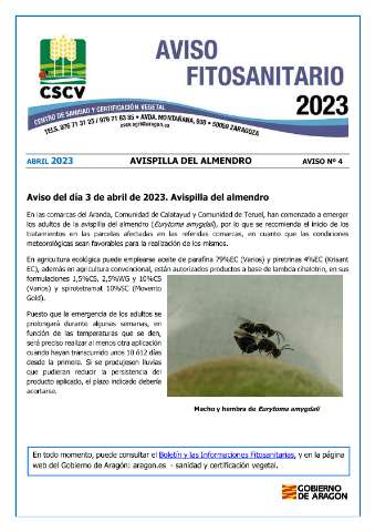 application/pdf