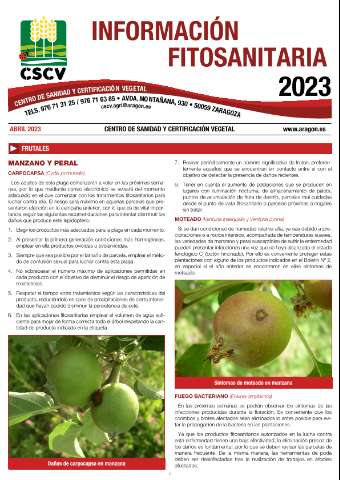application/pdf