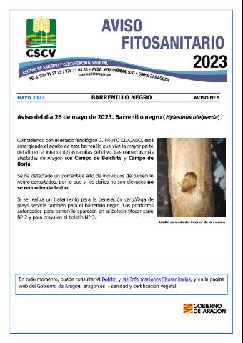 application/pdf