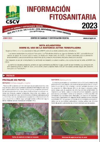 application/pdf