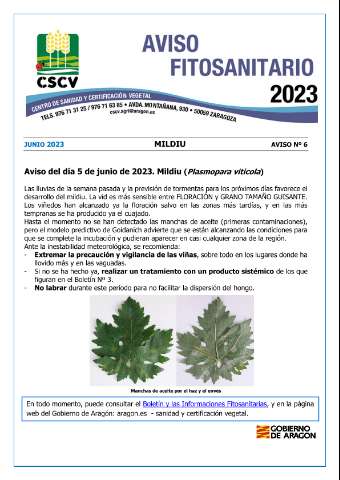 application/pdf