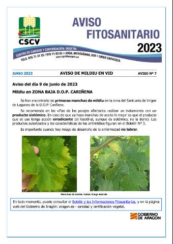 application/pdf