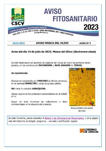 application/pdf