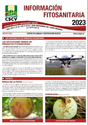application/pdf