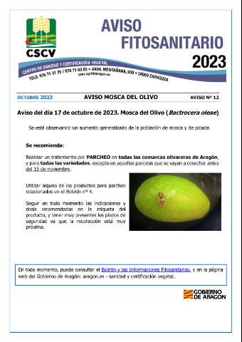 application/pdf