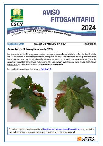 application/pdf