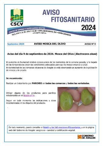 application/pdf