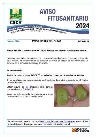 application/pdf