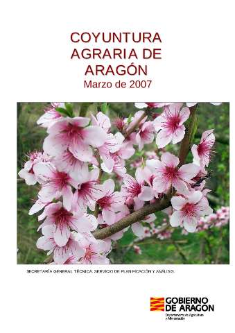 application/pdf