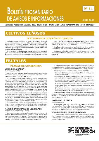 application/pdf