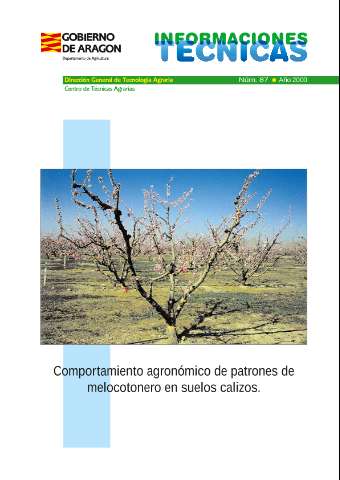 application/pdf