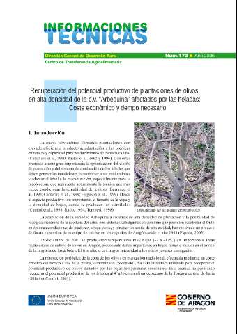 application/pdf