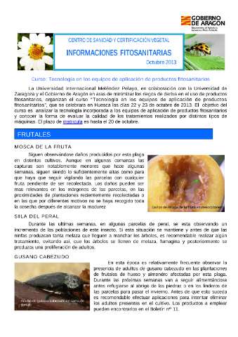 application/pdf
