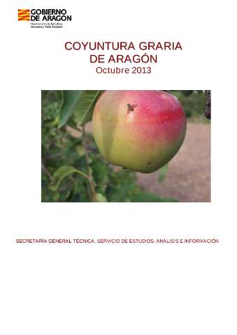 application/pdf