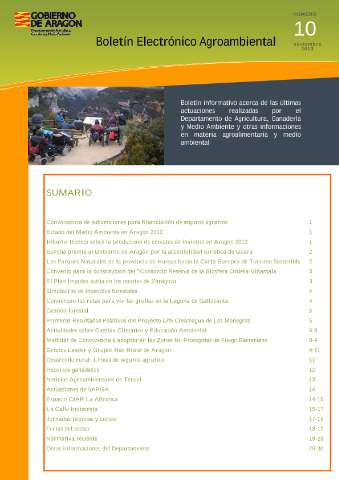 application/pdf