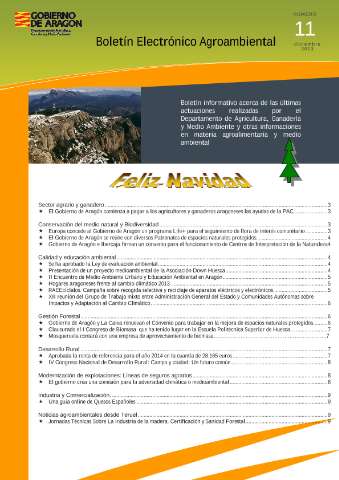 application/pdf