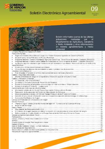 application/pdf