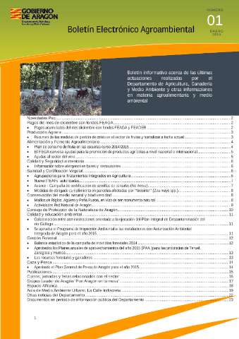 application/pdf