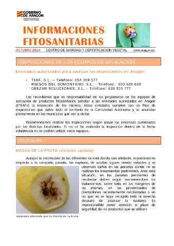 application/pdf